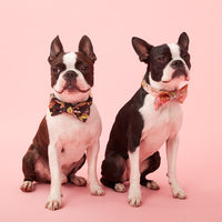 Thumbnail for DOG BOW TIE - FLORAL PRINT PINK