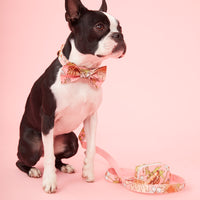 Thumbnail for DOG LEASH - FLORAL PINK PRINT