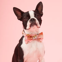 Thumbnail for DOG BOW TIE - FLORAL PRINT PINK