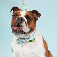 Thumbnail for DOG BOW TIE - WATERCOLOUR FLORAL AQUA