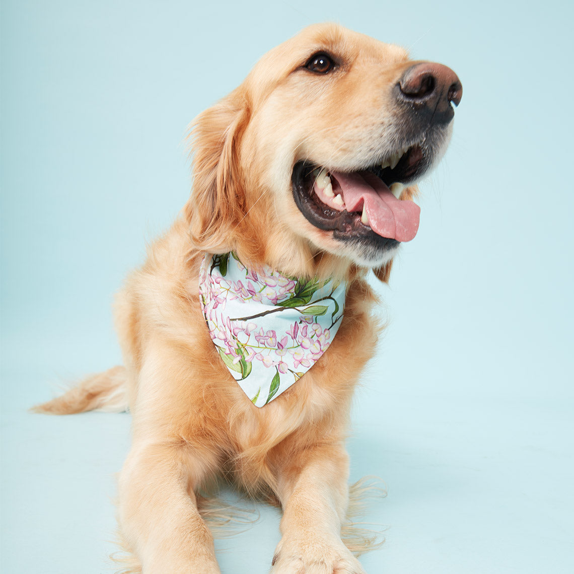 DOG BANDANA -  WATERCOLOUR FLORAL AQUA