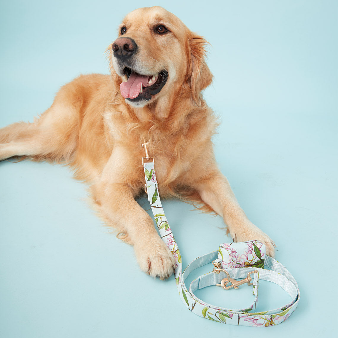 DOG LEASH - AQUA FLORAL