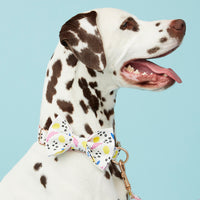 Thumbnail for DOG BOW TIE - ABSTRACT