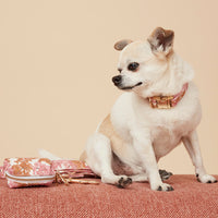 Thumbnail for DOG COLLAR - PINK FLORAL