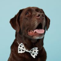 Thumbnail for DOG BOW TIE - WHITE BLACK CHECK