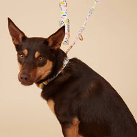 Thumbnail for DOG COLLAR - ABSTRACT