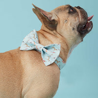 Thumbnail for DOG BOW TIE - BLUE DOG