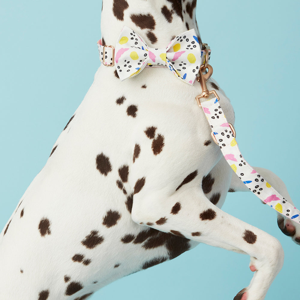 DOG LEASH - ABSTRACT