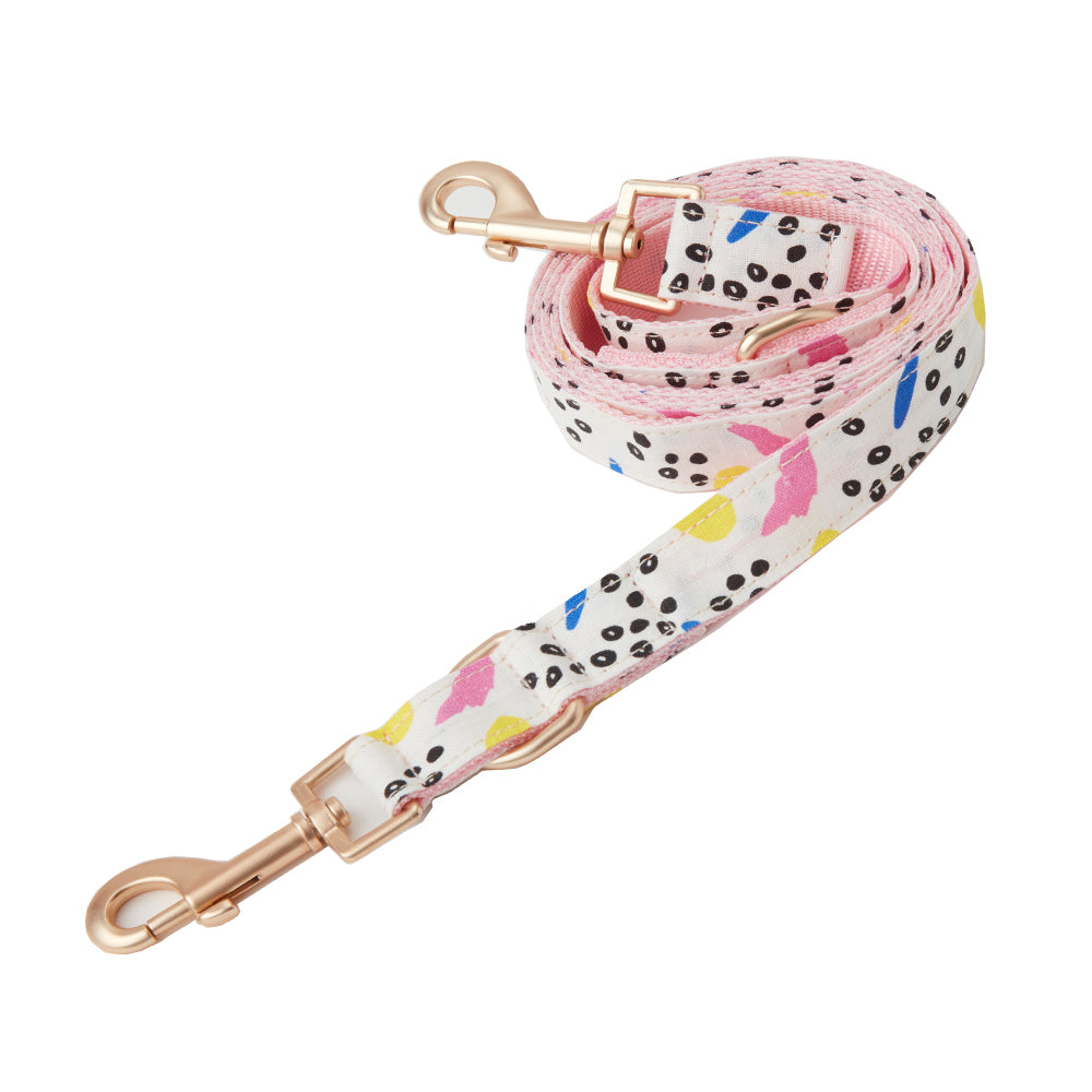 DOG LEASH - ABSTRACT