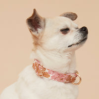 Thumbnail for DOG COLLAR - PINK FLORAL