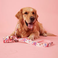 Thumbnail for DOG LEASH - BOLD FLORAL