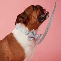 Thumbnail for DOG LEASH - BLUE DOG