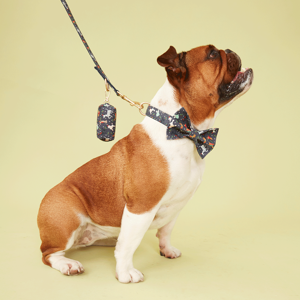 DOG COLLAR - NAVY PRINT