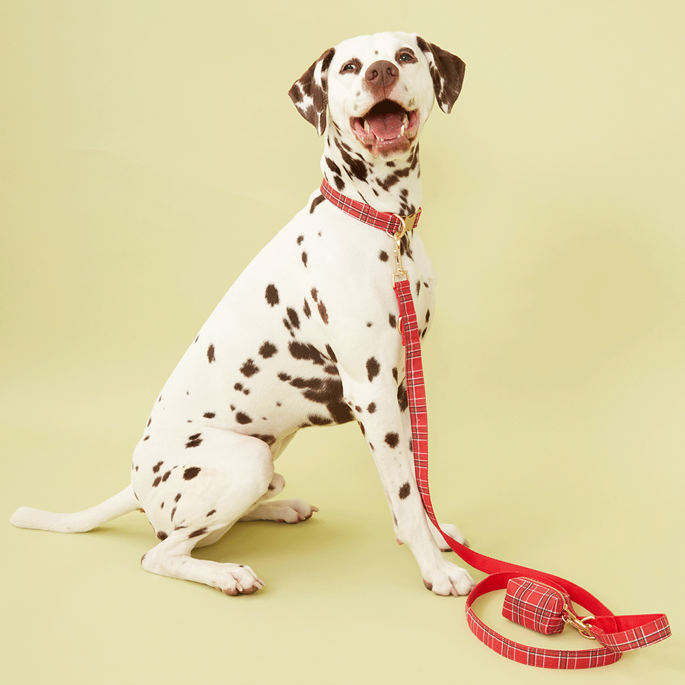 DOG LEASH - RED CHECK