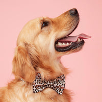Thumbnail for DOG BOW TIE - ANIMAL