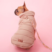 Thumbnail for PUFFER JACKET - CAMEL