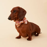 Thumbnail for DOG BOW TIE - PINK FLORAL