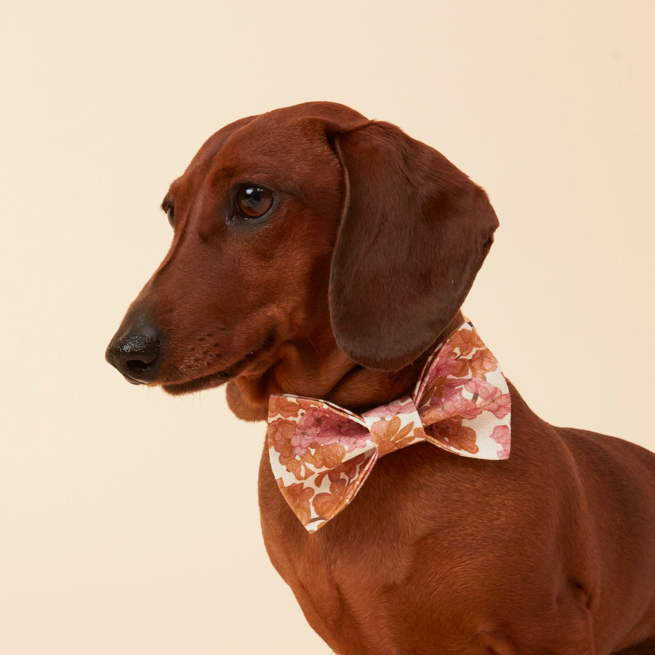 DOG BOW TIE - PINK FLORAL