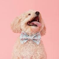 Thumbnail for DOG BOW TIE - BLUE DOG