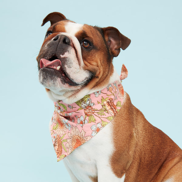 DOG BANDANA FLORAL PRINT PINK POOCH HOUND