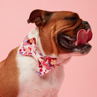 Thumbnail for DOG BOW TIE - BOLD FLORAL